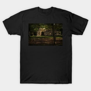 Wallingford Castle T-Shirt